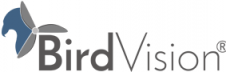 BridVision